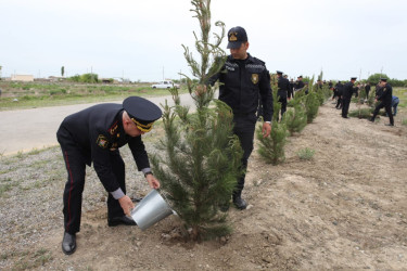 Tərtərdə Ümummilli Lider Heydər Əliyevin 100 illiyi ilə bağlı rayon İcra Hakimiyyətinin və Polis şöbəsinin birgə təşkilatçılığı ilə ağacəkmə aksiyası keçirilib