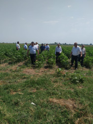 Tərtərdə mütəmadi  olaraq kooperativ təsərrüfatçılığın üstünlükləri barədə maarifləndirmə işləri aparılır