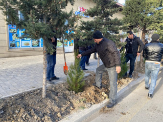 Tərtərdə 20 yanvar faciəsinin 35-ci il dönümü ilə əlaqədar  ağacəkmə aksiyası keçirilib