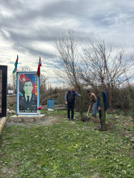 Əskipara kəndində ağacəkmə və təmizlik aksiyası keçirilib