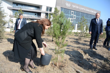 Tərtərdə Yeni Azərbaycan Partiyasının təsis edilməsinin 33-cü ildönümü münasibətilə ağacəkmə aksiyası keçirilib