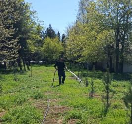 Tərtər şəhəri ərazisində iməclik aksiyası keçirilib