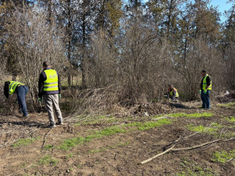 Tərtər rayonu ərazisində növbəti iməclik aksiyası keçirilib
