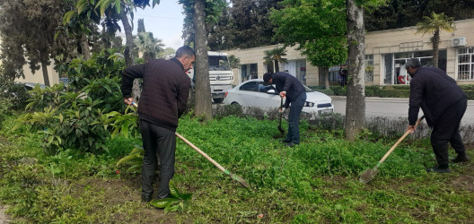 Tərtər şəhəri ərazisində iməclik aksiyası keçirilib