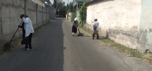 Tərtər şəhəri ərazisində iməclik aksiyası keçirilib