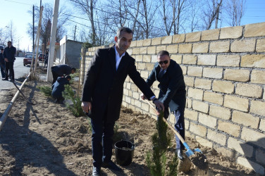 Tərtərdə 31 Dekabr – Dünya Azərbaycanlılarının Həmrəyliyi Günü münasibətilə ağacəkmə aksiyası keçirilib