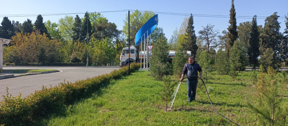 Tərtər şəhəri ərazisində iməclik aksiyası keçirilib