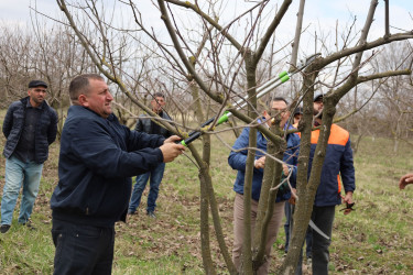 Dövlət-özəl sektor əməkdaşlığı çərçivəsində fermerlərə master-klass keçirilib