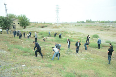 Tərtərdə "Yaşıl dünya naminə həmrəylik ili" çərçivəsində magistral yolların kənarlarında ağacların əkilməsi üçün hazırlıq işləri davam etdirilir