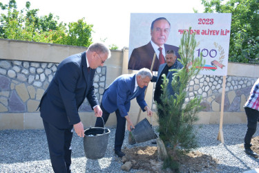 “Heydər Əliyev ili” çərçivəsində Tərtərdə növbəti ağacəkmə aksiyası keçirilib