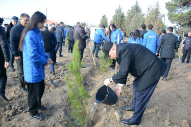 Tərtər Rayon İcra Hakimiyyətinin və “Regional İnkişaf” İctimai birliyinin (RİİB) birgə təşkilatçılığı ilə “100 gün - 100 təşəbbüs” adlı ağacəkmə aksiyası keçirilib.
