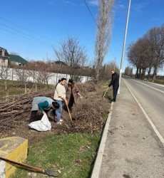 Seydimli kəndində ağacəkmə və təmizlik aksiyası keçirilib