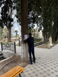 Tərtər rayonunda ictimai yerlərdə və parklarda tütünün sağlamlığa mənfi təsiri barədə təbliğat xarakterli materiallar yerləşdirilib