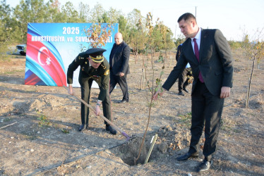 Tərtərdə “Konstitusiya və Suverenlik İli” çərçivəsində 8 Noyabr Zəfər Gününün beşinci ildönümü ilə əlaqədar növbəti ağacəkmə aksiyası keçirilib