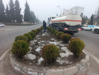 Tərtər şəhəri ərazisində növbəti iməclik aksiyası keçirilib