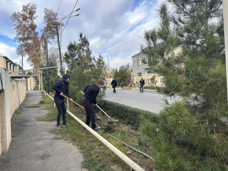 “Heydər Əliyev İli” çərçivəsində iməcilik keçirilib