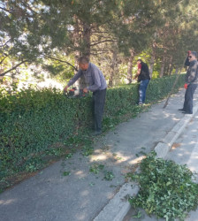 Tərtər şəhəri ərazisində abadlıq və təmizlik işləri görülüb