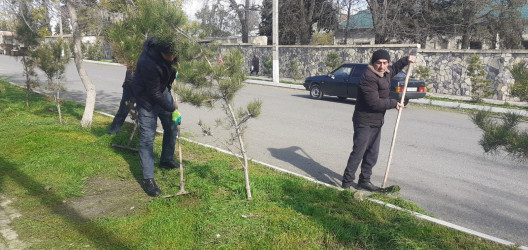 Tərtər şəhəri ərazisində iməclik aksiyası keçirilib