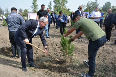 Tərtərdə “Şəhərsalma və Memarlıq İli” çərçivəsində 27 sentyabr Anım gününün altıncı ildönümü ilə əlaqədar ağacəkmə aksiyası keçirilib