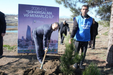 Tərtərdə “Şəhərsalma və Memarlıq İli” çərçivəsində Xocalı soyqrımının 34-cü il dönümü ilə əlaqədar ağacəkmə aksiyası keçirilib