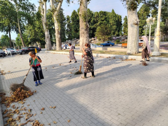 Tərtər şəhəri ərazisində iməclik aksiyası keçirilib