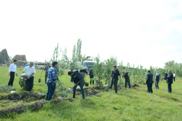 Tərtərdə "Yaşıl dünya naminə həmrəylik ili" çərçivəsində növbəti ağacəkmə aksiyası Poladlı kəndi ərazisində keçirilib