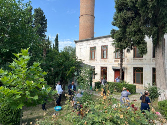 “Yaşıl gələcək naminə” adlı yaşıllaşdırma aksiyası davam etdirilib