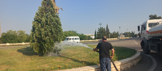 Tərtər şəhəri ərazisində iməclik aksiyası keçirilib