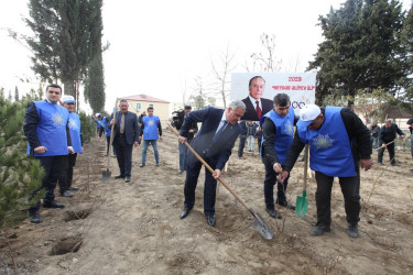 Tərtərdə “Heydər Əliyev ili” çərçivəsində növbəti ağacəkmə aksiyası keçirilib