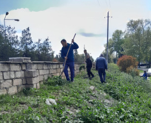 Tərtər şəhəri ərazisində iməclik aksiyası keçirilib