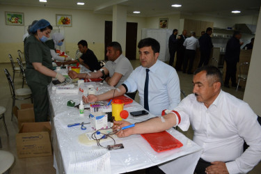 Tərtərdə “Talasemiyasız həyat naminə” proqramı çərçivəsində qanvermə aksiyası keçirilib