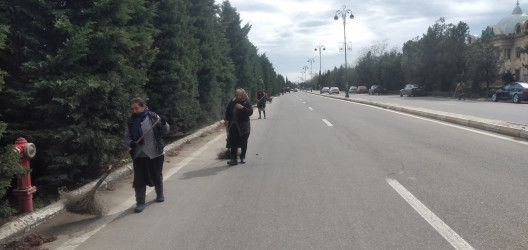 Tərtər şəhəri ərazisində iməclik aksiyası keçirilib