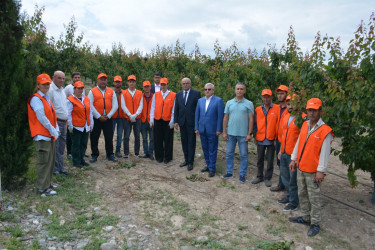 Tərtər Rayon İcra Hakimiyyətinin başçısı "Frutti Agro" MMC-nin intensiv meyvə bağları və müasir suvarma infrastrukturu ilə tanış olub