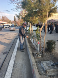 Tərtər şəhəri ərazisində növbəti iməclik aksiyası keçirilib