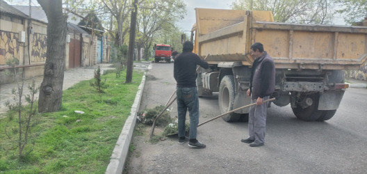 Tərtər şəhəri ərazisində iməclik aksiyası keçirilib