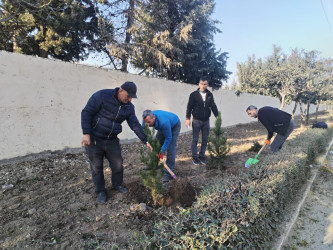 Tərtər şəhərində abadlıq və təmizlik işləri davam etdirilir