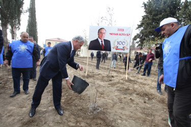 Tərtərdə “Heydər Əliyev ili” çərçivəsində növbəti ağacəkmə aksiyası keçirilib