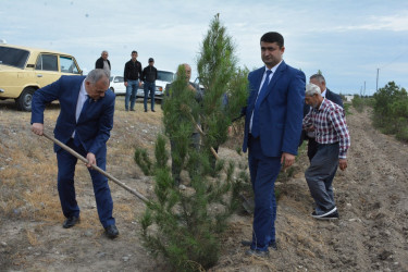 Tərtərdə 27 sentyabr-Anım Günü münasibəti ilə ağacəkmə aksiyası keçirilib