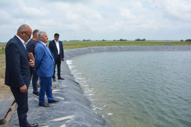 Tərtər Rayon İcra Hakimiyyətinin başçısı "Tərtər 1" MMC-nin intensiv meyvə bağları və müasir suvarma infrastrukturu ilə tanış olub