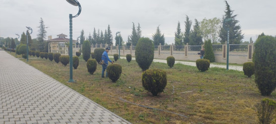 “Yaşıl dünya naminə həmrəylik ili” çərçivəsində Ana abidəsində və Bayraq meydanında  növbəti iməcilik keçirilib