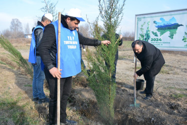 Tərtərdə "Yaşıl dünya naminə həmrəylik ili" çərçivəsində Azərbaycan Respublikasının Prezidenti cənab İlham Əliyevin doğum gününə həsr olunan  ağacəkmə aksiyası keçirilib