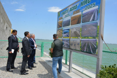 Tərtərdə “Frutti Aqro” MMC tərəfindən yeni salınmış intensiv meyvə bağına baxış keçirilib