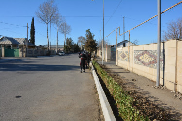 Tərtərdə “Heydər Əliyev ili” çərçivəsində ilk ağacəkmə aksiyası keçirilib