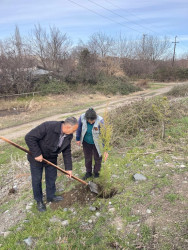 Seydimli kəndində ağacəkmə və təmizlik aksiyası keçirilib