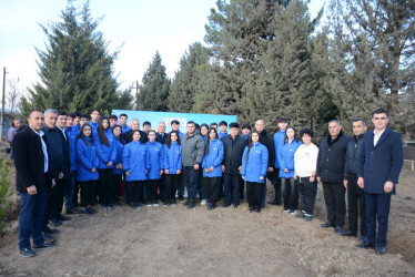 Tərtər Rayon İcra Hakimiyyətinin və “Regional İnkişaf” İctimai birliyinin (RİİB) birgə təşkilatçılığı ilə “100 gün - 100 təşəbbüs” adlı ağacəkmə aksiyası keçirilib.