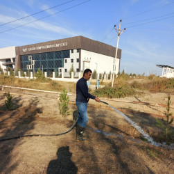 Tərtər şəhəri ərazisində növbəti iməclik aksiyası keçirilib