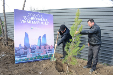 Tərtərdə “Şəhərsalma və Memarlıq İli” çərçivəsində növbəti ağacəkmə aksiyası keçirilib