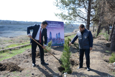 Tərtərdə “Şəhərsalma və Memarlıq İli” çərçivəsində növbəti ağacəkmə aksiyası keçirilib