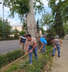 Tərtər şəhəri ərazisində növbəti iməclik aksiyası keçirilib
