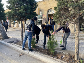 Tərtərdə 20 yanvar faciəsinin 35-ci il dönümü ilə əlaqədar  ağacəkmə aksiyası keçirilib